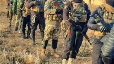 E0A99E81 771C 4B62 975E C6C41D902C77