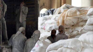 F9B76E0E B7AD 4B46 93EE DCBAF3E29502