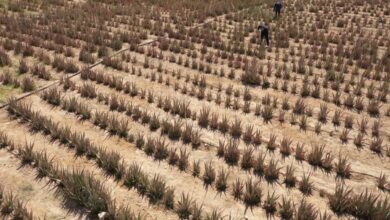 IMG 20220201 150015 328