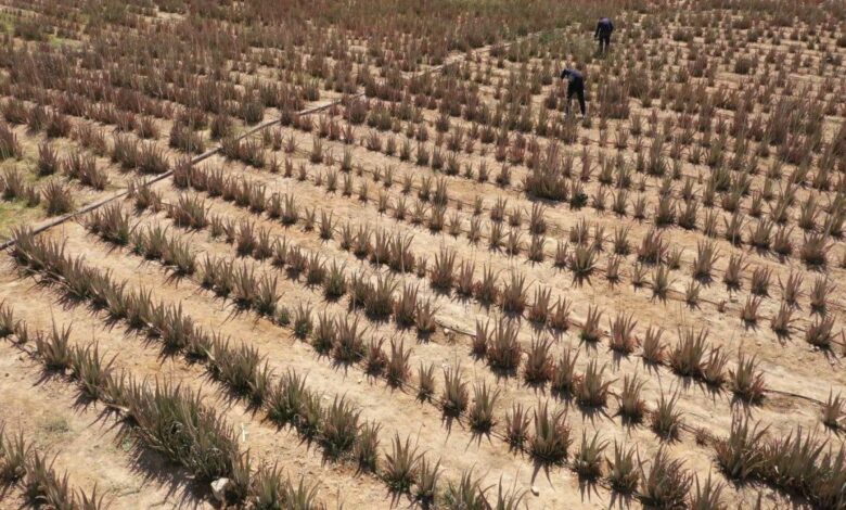 IMG 20220201 150015 328