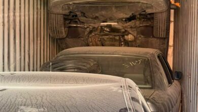 IMG 20220203 150733 159