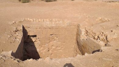 IMG 20220207 093205 353