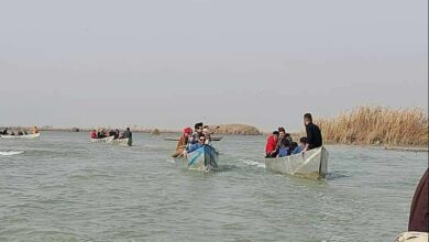 IMG 20220208 133855 554