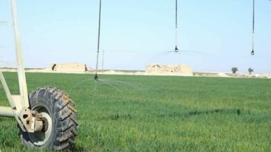 IMG 20220212 101036 220