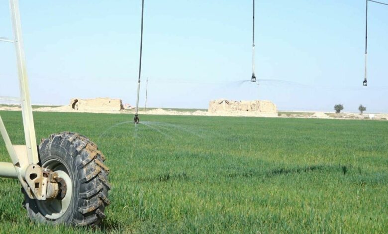 IMG 20220212 101036 220