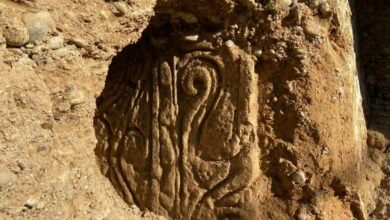 IMG 20220217 122325 877