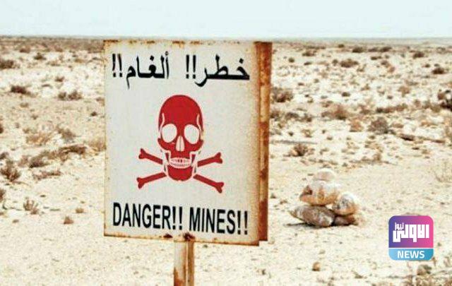 IMG 20220220 155035 681