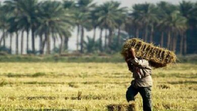 IMG 20220223 153415 926