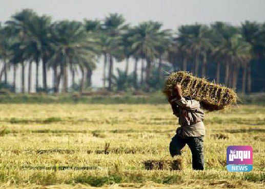 IMG 20220223 153415 926