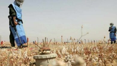 IMG 20220225 111634 019