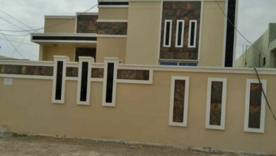 IMG 20220227 105228 571