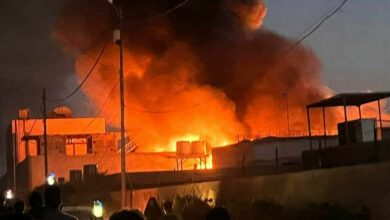 IMG 20220228 100628 701