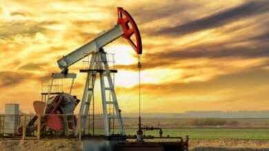 IMG ٢٠٢٢٠٢٢٥ ١٩٥٨٢٣