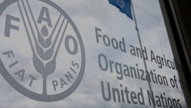 Screenshot ٢٠٢٢٠٢٠٢ ٢١٠٤١٣ Samsung Internet