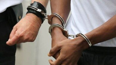 0B8FFC37 2178 41FF 95BB FB5119C94647