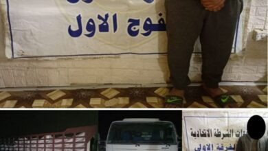 10BB323E 6CAA 454A B7B7 559855D571D2