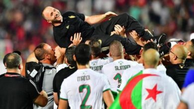 163 172010 world cup dream cameroon algeria 700x400