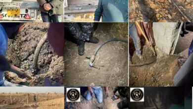 19D183F2 3C38 44E7 8D4C 31E82792DD43