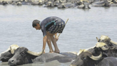 1A3AB8B7 0546 46F5 8C39 C82AA5B92DC8