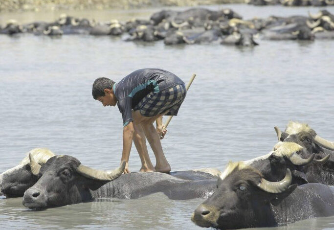 1A3AB8B7 0546 46F5 8C39 C82AA5B92DC8