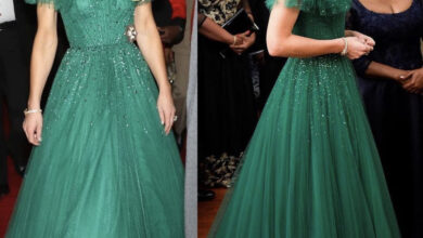 23C4D1B8 AE55 4407 A22C 1A40687ECD4D