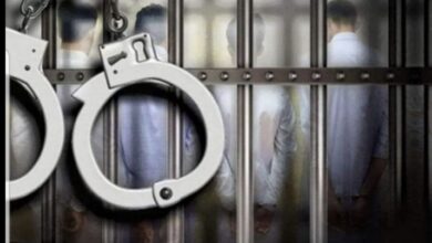 29F57613 C513 40C3 8328 7071E91F1AB6