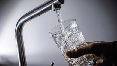 2D8BCAEA 420D 441F 9ACE 0F619DBBE06B