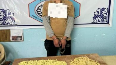 2F4C57C6 AB50 493E 8323 ADEB1CF63713