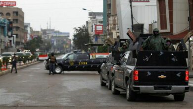 393F3FAF 7EB4 47D8 978D A04FEA2F3D59