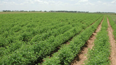 3BE56ECB DC44 48B3 9758 879877263521