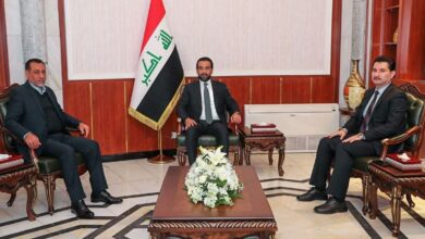 478537E0 1D25 4922 9F81 C5C573A8A4E0