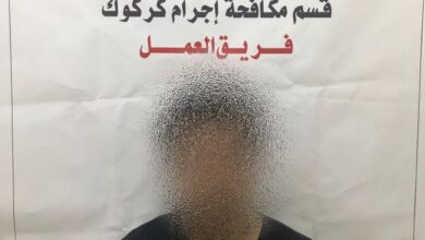 4C2D5A39 BF83 4AFC A0DC A1163600D782