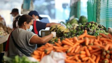 ارتفاع قياسي في أسعار الغذاء حول العالم 6 4C8E0CE6 AA69 473E 8426 CD2B8DF3BF82