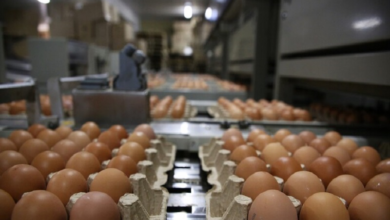 512995DB 2590 4257 8BEC 11E0E088ACCE