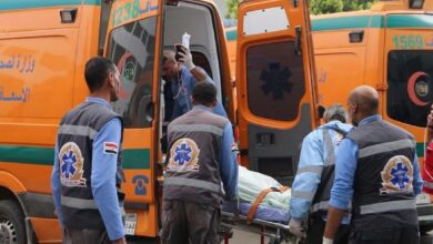 5C919902 0C7F 4645 A1C1 819B24FD91D7