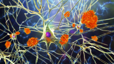 622319a642360454df19a839