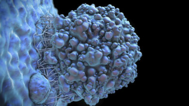 622370604c59b70ab742e308