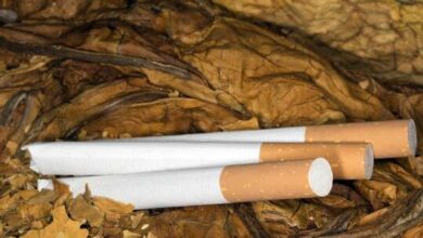 62246f8442360453923f86b4