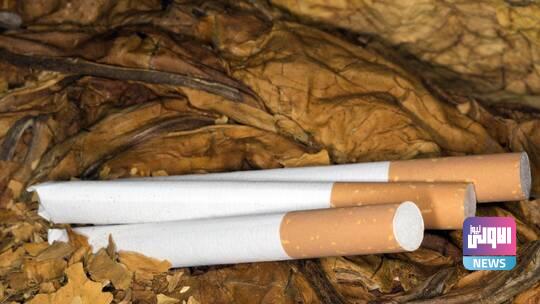 62246f8442360453923f86b4