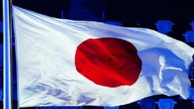 6226d6e74c59b75ff206499d