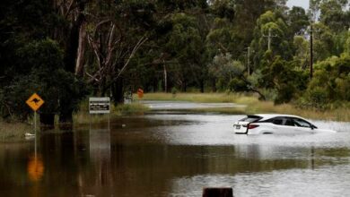 6226eb7d4c59b74c0415fa6c