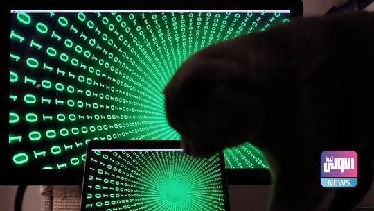 622af84542360421ff205253