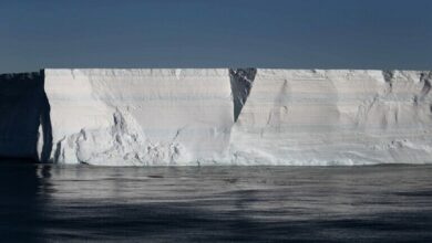 622b669f42360477773d82a7