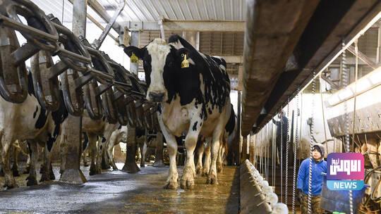 6236fea24c59b777d2659e6c