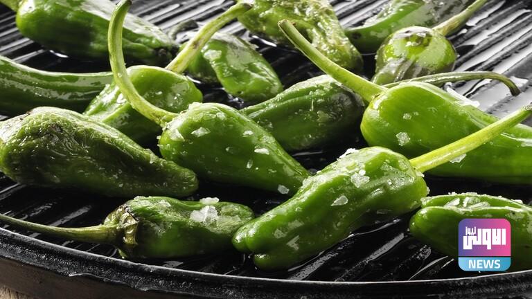 6241598b4c59b778ac11a12b