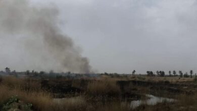 6BD44908 427C 4E8C A34A 0FCEDCAAA8E1