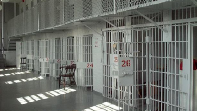 71A9D584 9E76 4292 8085 8BA3DB4487AA