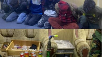 77E39A52 C03C 4734 835A E811A97EF64E