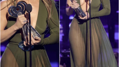 7BB6FFD5 A47D 48ED A74A 1A6B685C4048