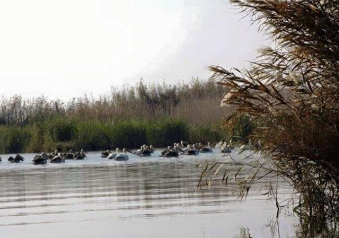 7D68BD73 C1A0 4224 813F A80B5F75B575